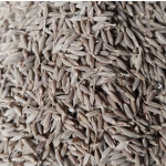 Manufacturer and Processor of cumin seeds.
