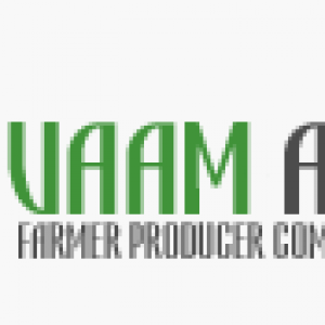 High Quality of Grain, Pulses and Whole spices.