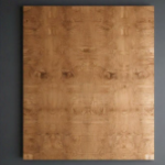 Plywood Doors and Laminate