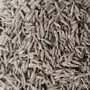 Agriculture Products