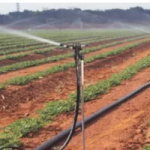 Irrigation System