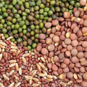 Khedut Producer Company