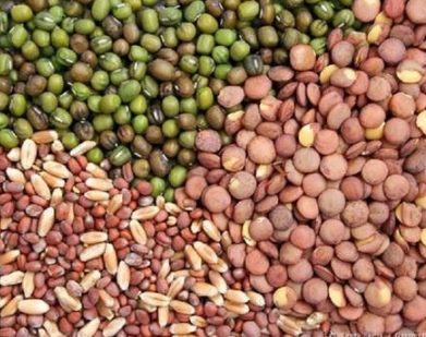 Khedut Producer Company