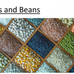 Agri Products import - export