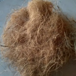 Manufacturer of Coir Fibre, Coir Pith Powder