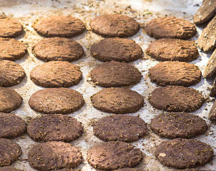 Manufacturer of goat meat, fertilizers & agricultural pesticides.