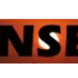 Fancy Cabinet Handle