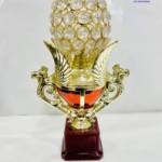 Awards Shield Trophy's Medals