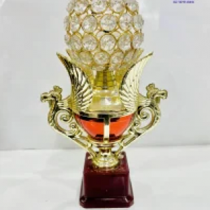 Awards Shield Trophy's Medals