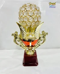 Awards Shield Trophy's Medals