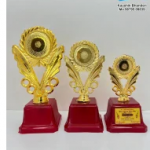 Awards Shield Trophy's Medals