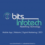 Web Designer, Software company