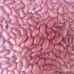 Best Range of Organic Pulses, Desi Chana & Other Products