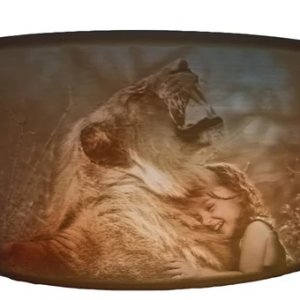 Manufacture of FDM 3D Printing Services, FDM 3D Printed Gifts