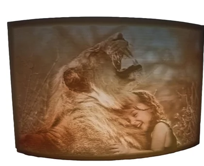 Manufacture of FDM 3D Printing Services, FDM 3D Printed Gifts