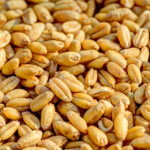 Farming of Agriculture Products