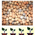 clay aggregate, soil testing equipment & vermiculite