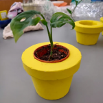 clay aggregate, soil testing equipment & vermiculite