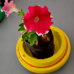 clay aggregate, soil testing equipment & vermiculite