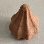 Organic & Nature Store