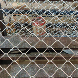 Manufacturer of Wire Mesh, Chain Link Fencing, Etc