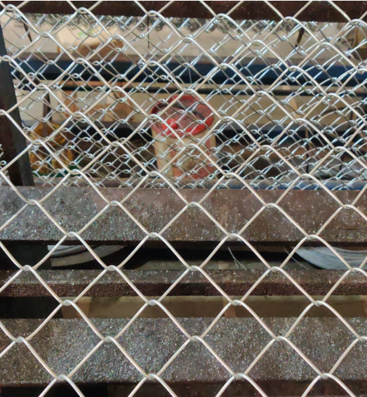 Manufacturer of Wire Mesh, Chain Link Fencing, Etc