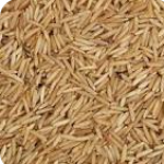 basmati rice, organic wheat, organic millet & wheat