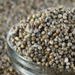 basmati rice, organic wheat, organic millet & wheat