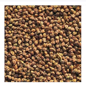 Coriander Seed, Cumin Seed, Organic Wheat Grain, Natural Gram Seed