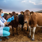 Pharmaceutical Company