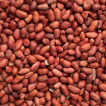 Groundnut & Cotton Farming