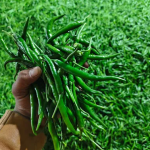 Fresh vegetables, fruits, green chilies, and husked coconuts.