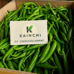 Fresh vegetables, fruits, green chilies, and husked coconuts.