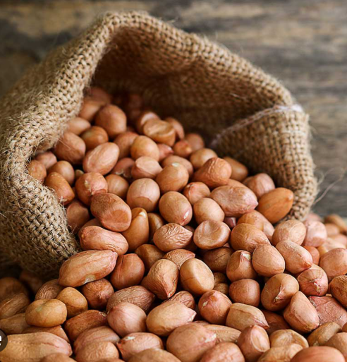 Farming of Groundnut