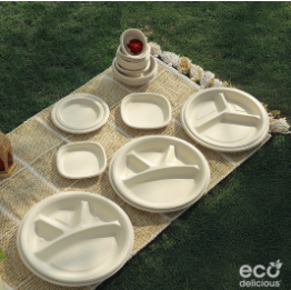 Manufacturer of biodegradable and compostable tableware