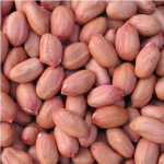 Agricultural Products