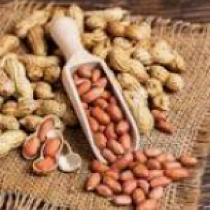 Farming of Groundnut