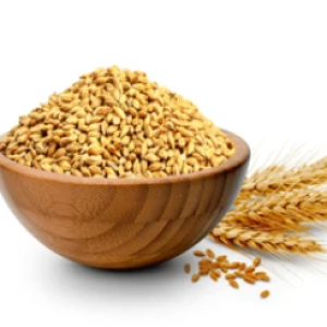 Farming of Chana & wheat