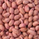 Farming of Groundnut