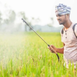 Pesticides & Fertilizer