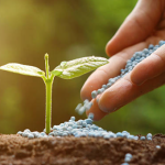 Pesticides & Fertilizer