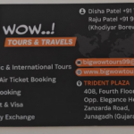 Tours & Travels