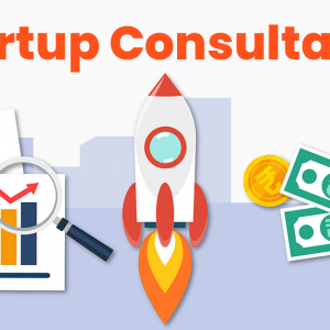 start up consultant
