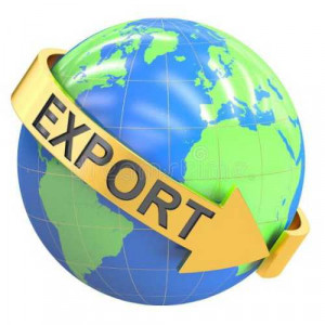 Shrinath non woven bags