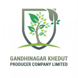 Gandhinagar Khedut Producer Company Limited