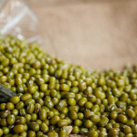 Groundnut , Peanuts , Pigeon Pea, Chickpea, Coriander Seeds , Jeera,  Sesame Seeds,  Mung bean,  Urad bean  etc.