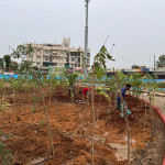 Professional Gardener