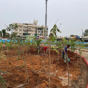 Professional Gardener