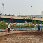 Professional Gardener