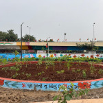 Professional Gardener